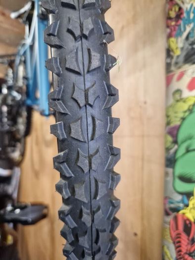Coyote Callisto mountain bike