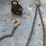 Plate lifter and chains Image 2