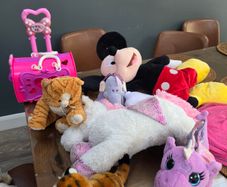 clear out of teddies and toys. need gone in bulk form.