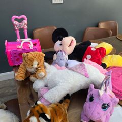 clear out of teddies and toys. need gone in bulk form.