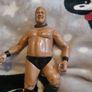 13 WWE wrestling figures Image 9