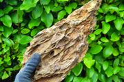 Dragon Stone
