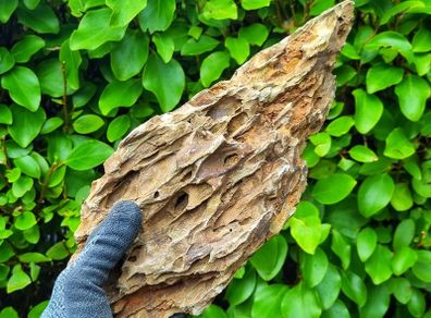 Dragon Stone