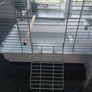Birdcage Image 4