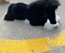 toy horse
