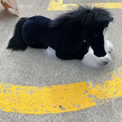 toy horse