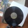 vinyl The Dandy Warhols Image 6