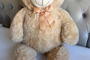 Teddy bear new