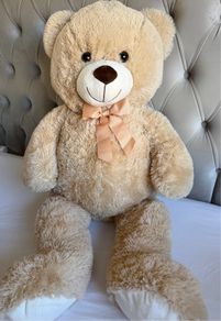 Teddy bear new