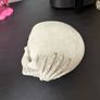 skull decor Image 2