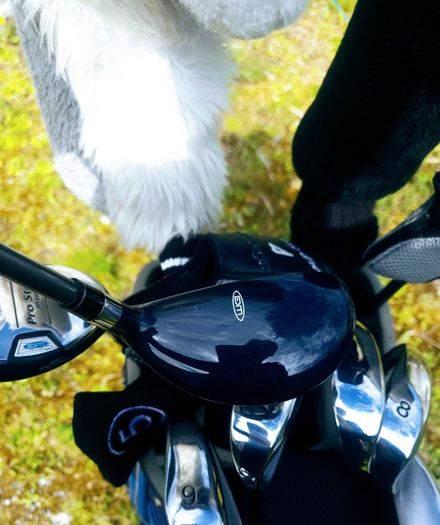 Set of Ladies Golf Clubs