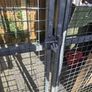 kennel and cage Image 2