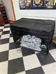 large dog crate