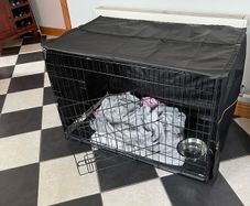 large dog crate