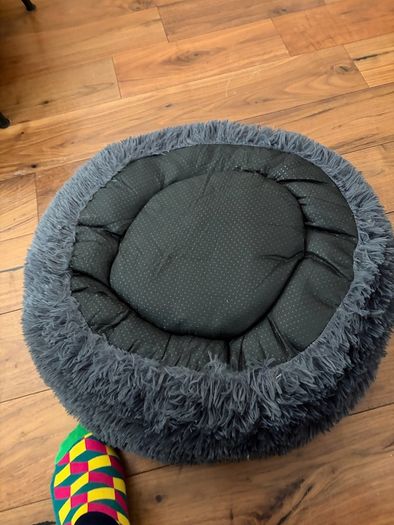 dog bed