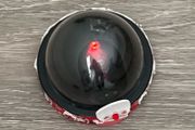 Santa Webcam