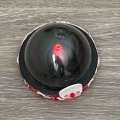 Santa Webcam