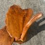 Unique Sculptural Tree Root Display Stand / Live Edge 2-Tier Table Image 8