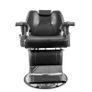 Professional Hairdressing Chair High Quality Faux Leather, Hydraulic Retractable Image 4