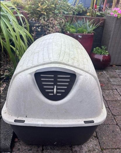 Dog Kennel