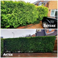 Landscaping hedge trimming