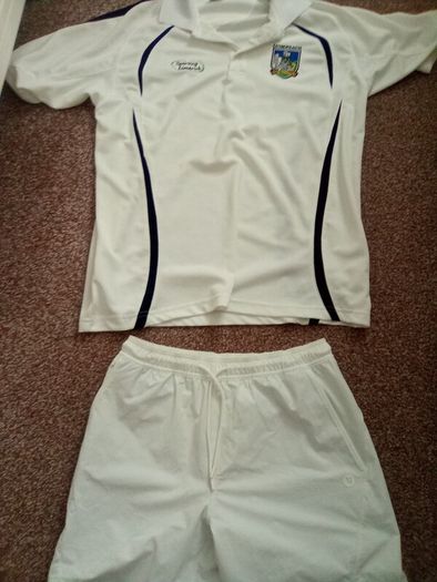 Limerick.  Jersey.  And.  Shorts
