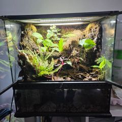 Complete Bio Active Terrarium