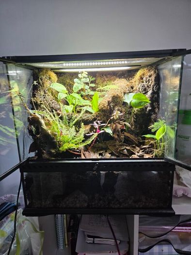 Complete Bio Active Terrarium