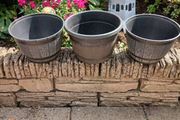 Plant Pots x 3