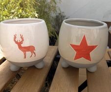 2 Christmas Pots