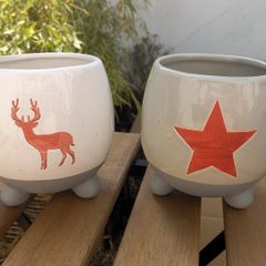 2 Christmas Pots