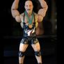WWE Wrestling Figures (prices listed) Image 2