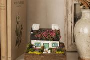 Handcrafted tiny wooden cottage
