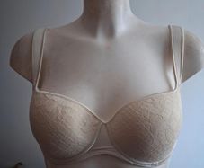 BNWT Empreinte bra 34C