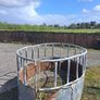 cattle feeder round Image 3