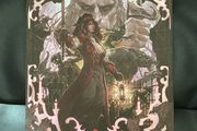 Van Richten's Guide to Ravenloft Alternate Cover Dungeons and Dragons