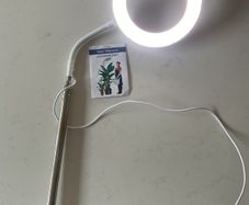 LED plant light
