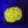UV Blacklight Coral Reef Wall Art Painting Image 10