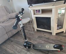 electric scooter