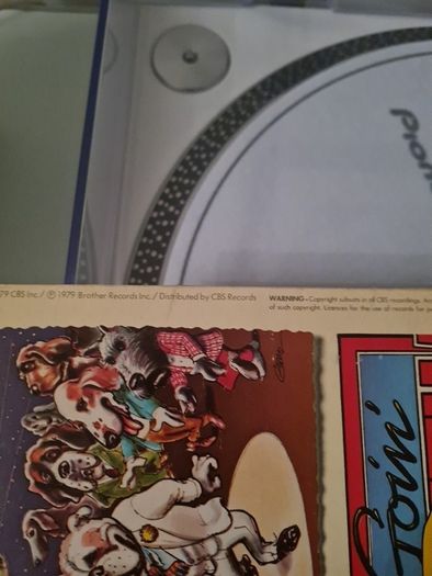 The Beach Boys LA Light Album vinyl