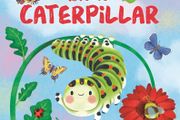 Children book Board book (Price for 1book) New