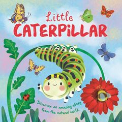 Children book Board book (Price for 1book) New
