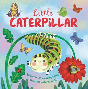 Children book Board book (Price for 1book) New