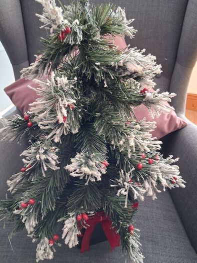 Small Christmas tree.