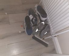 trainers