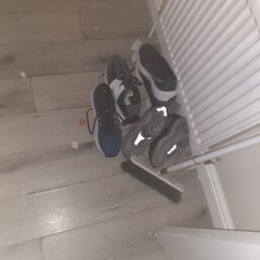 trainers