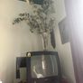 old philips Tv Image 3