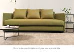 3 Seats Sofa Bed in Colour Green