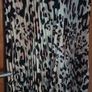 dress BNWT Image 4