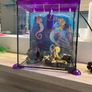 Fish Tank with Water Filtration Mini Aquarium Image 3